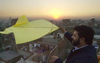 Kite