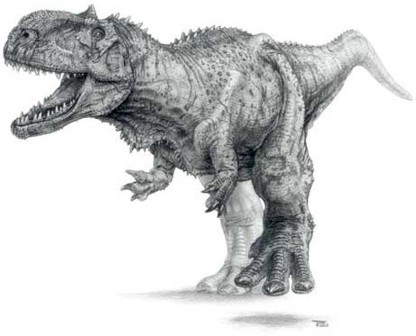 Rajasaurus