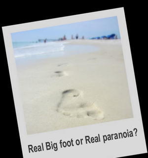 Big foot?